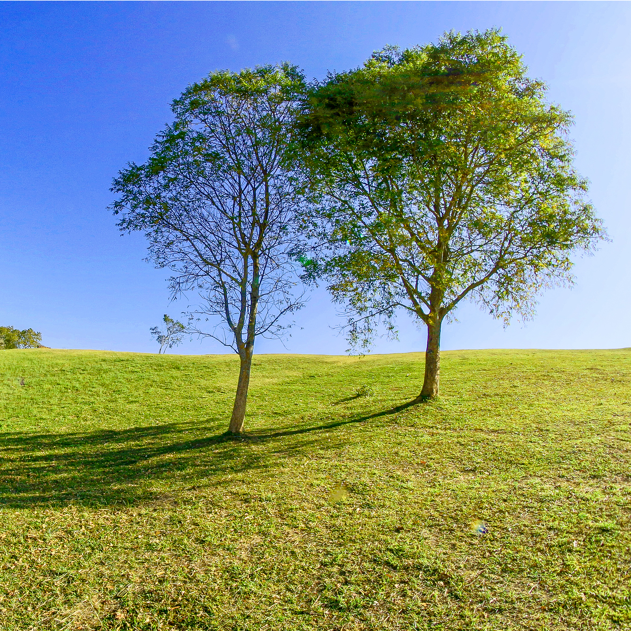 Land Appraisals